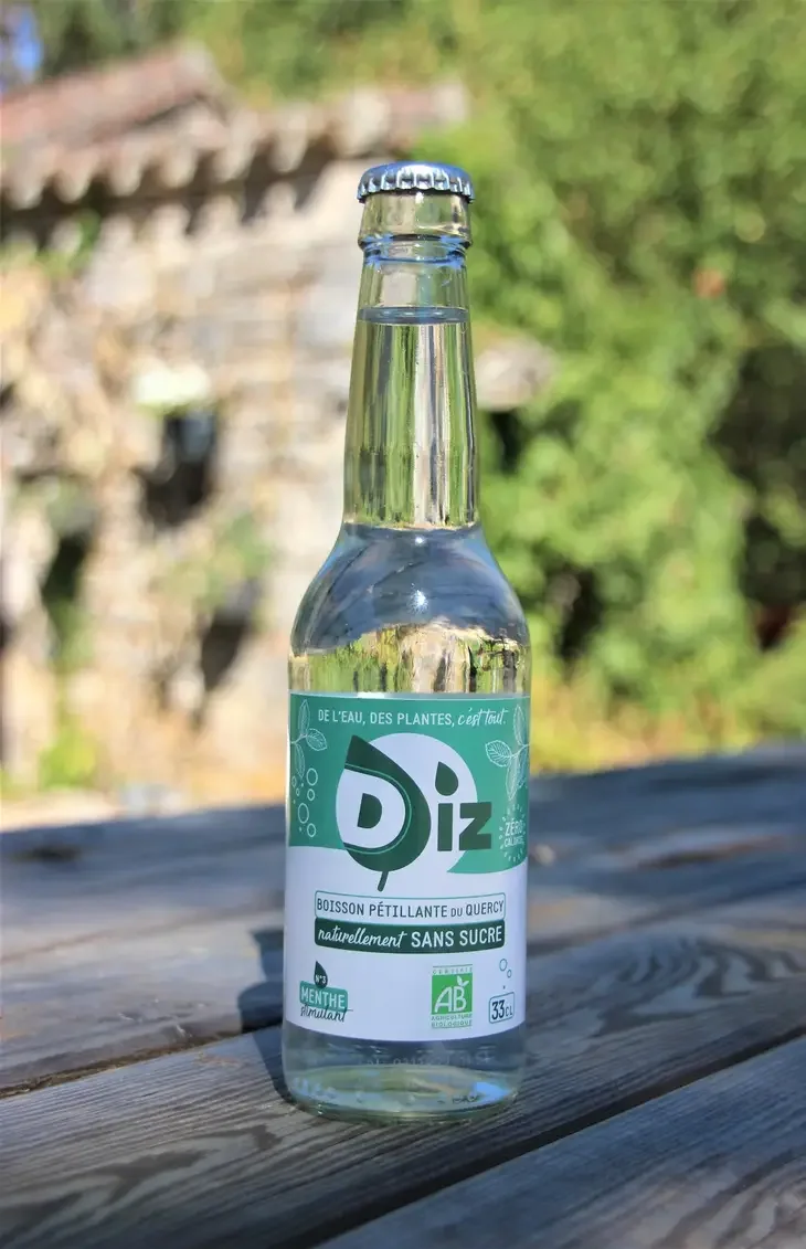DIZ Menthe