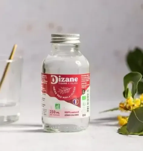 Dizane, même pas mal